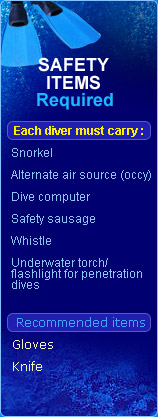 Dive safety