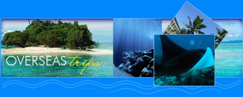 Overseas Diving Trips - Blue Water