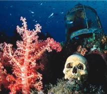 Caroline Island