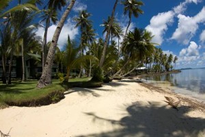 Scuba Diving In Chuuk Atoll