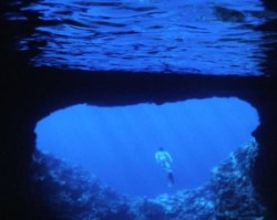 Dive in Tonga Dive in Tonga